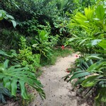 Ikemajima gelato cafe Ninufa - 奥へ進むと・・・