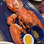 レッドロブスター - 