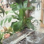 LANI cafe PLACE - 窓際の席から商店街を。
