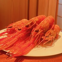 蒼 - 