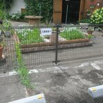 三重食堂 - 周辺にも駐車場あります