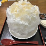 かき氷専門店 porte ひなさく堂 - 