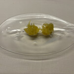 TACUBO - 高知 小夏・岡山金糸瓜