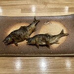 旬菜旬魚 たじま - 