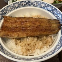 割烹 蒲焼 大沼 - 