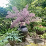 パン ド ムシャムシャ＆コーヒー - 