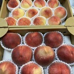 あら川第一桃生産組合 第一直売所 - 