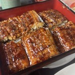 江島牡丹園 深見草 - 