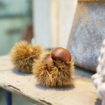 チニャーレエノテカ - 