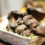 チニャーレエノテカ - 馬過ぎる”香茸”