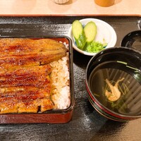 満寿家 - 並　ご飯大盛り