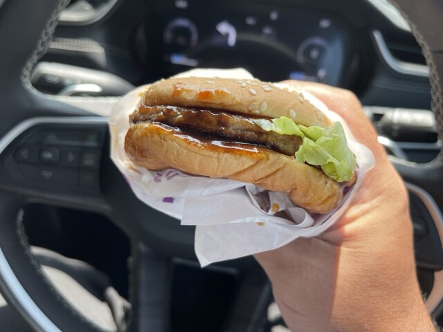 Mcdonalds Gaikan Habikino Ten