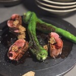 マチェレリーアディタケウチ - 