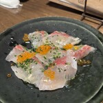 マチェレリーアディタケウチ - 