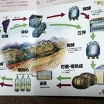 MARUFUJI WINERY - ワインが出来るまで
