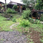 ワンネスパークcafe - 