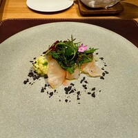 ARMONICO - 