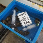 魚売り処　新鮮家 - 