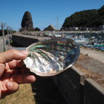 魚売り処　新鮮家 - 