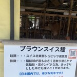 いでぼく　ミルクハウス - 