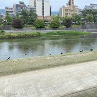 眺河　先斗町～華～ - 