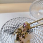 熟成鮨利他 難波 心斎橋 - 