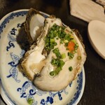 金町の一軒家居酒屋 しろし - 