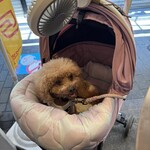 ダパイダン105 - 付き合ってくれて有難う