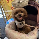 ダパイダン105 - やっぱ暑いよね