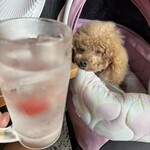 そば処 湧水 - いいちこ炭酸割り梅干し入り