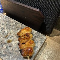 始祖鳥 - 