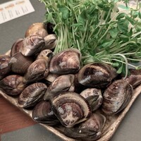 桑名蛤料理・蛤しゃぶしゃぶ 貝新 - 