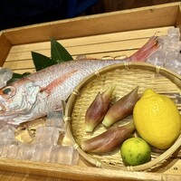 のどぐろ専門 銀座 中俣 - 