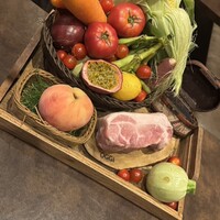 オッジ ダルマット 西麻布店 - 