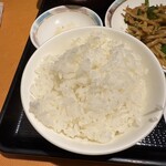 銀座 桃花源 - お代わりご飯
