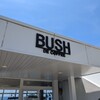 BUSH