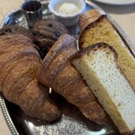 LAGOON TOOTH TOOTH - 