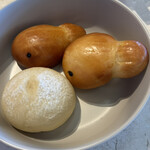 LAGOON TOOTH TOOTH - 