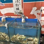海の幸ふるまいセンター - 