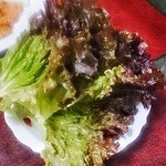 三男坊 - サンチュ