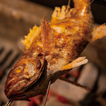 御曹司 松六家 - 