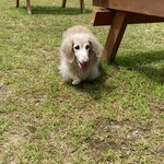 びわ湖テラス - 