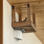 soshiji M 饗庭 - 鳥の巣がありました。