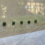 IFU 黄家鮑翅 - 黄家鮑翅