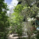 Refugeforestiere 五島 - お店前のガーデンテラス