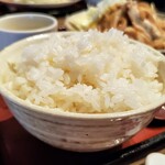 茶寮 伊勢藤次郎 - ご飯大盛り