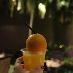 REWILD OUTDOOR TOKYO - 