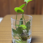 あげ丼CYAYA よし - 葉っぱも根っこも青々と育ってま〜す♪ \(*ˊᗜˋ*)/ 