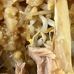 ラーメン専門 宮の森 - さらにアップ