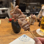 くちばしモダン - 